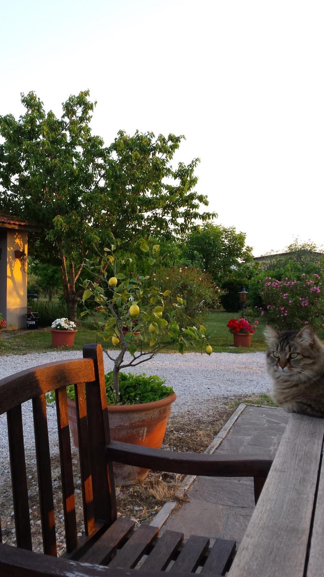 Agriturismo Podere La Cascata Villa มัสซามาริตติมา ภายนอก รูปภาพ