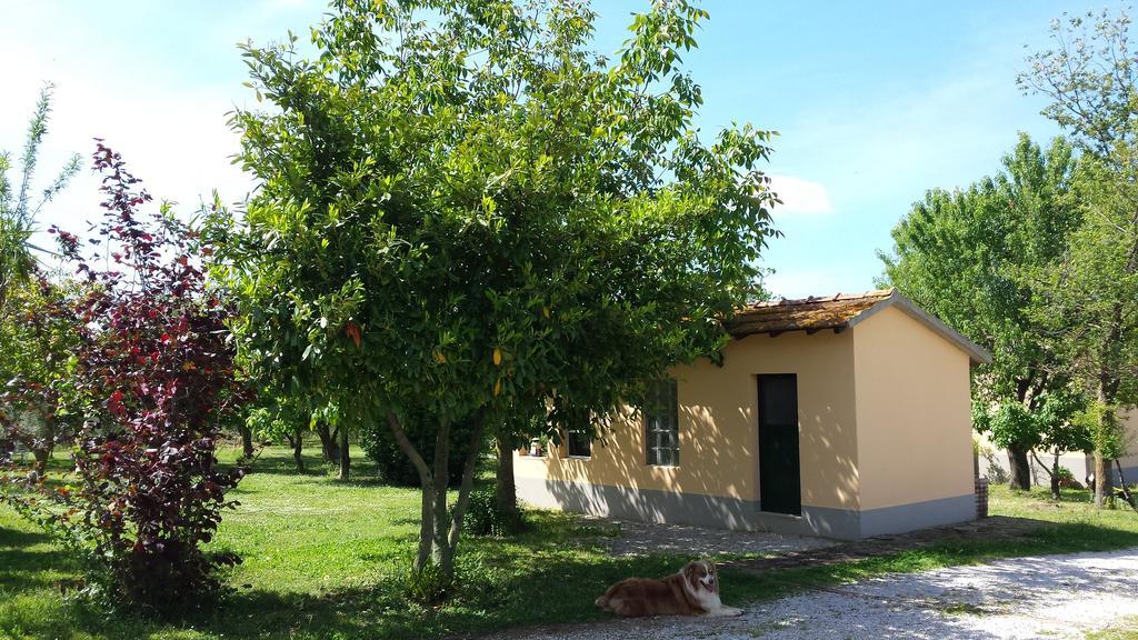 Agriturismo Podere La Cascata Villa มัสซามาริตติมา ภายนอก รูปภาพ