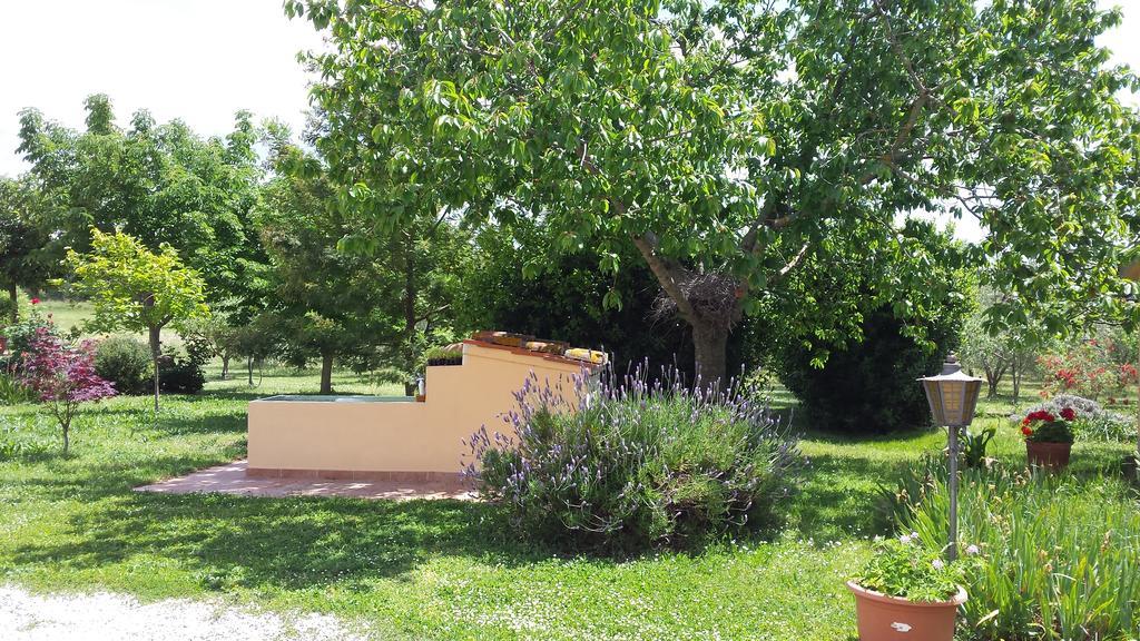 Agriturismo Podere La Cascata Villa มัสซามาริตติมา ภายนอก รูปภาพ