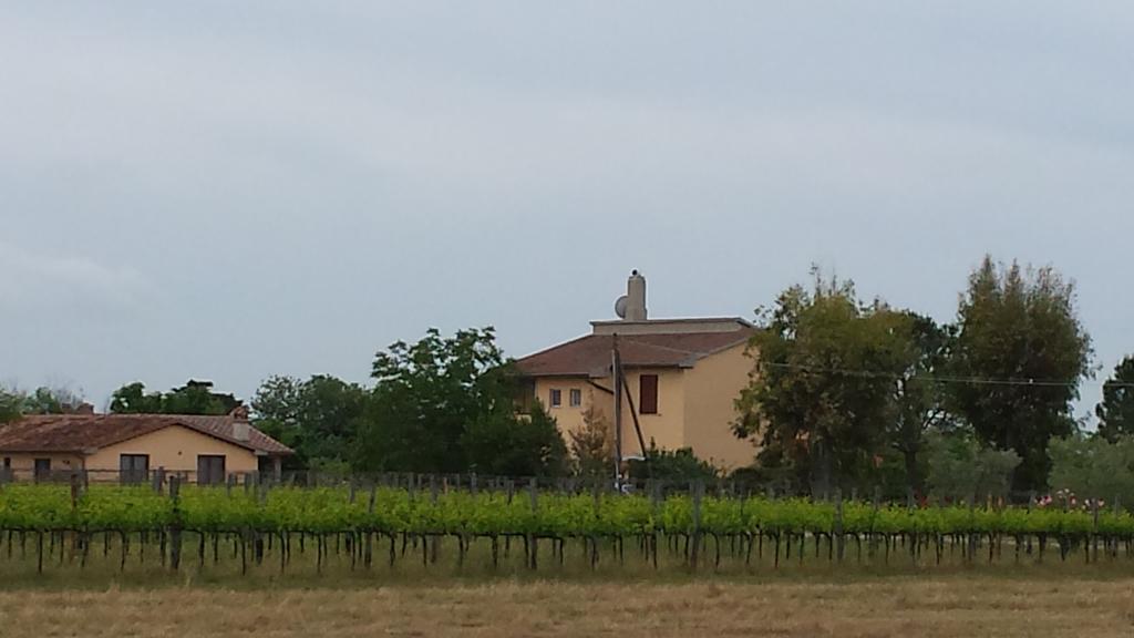 Agriturismo Podere La Cascata Villa มัสซามาริตติมา ภายนอก รูปภาพ