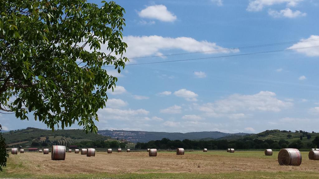 Agriturismo Podere La Cascata Villa มัสซามาริตติมา ภายนอก รูปภาพ